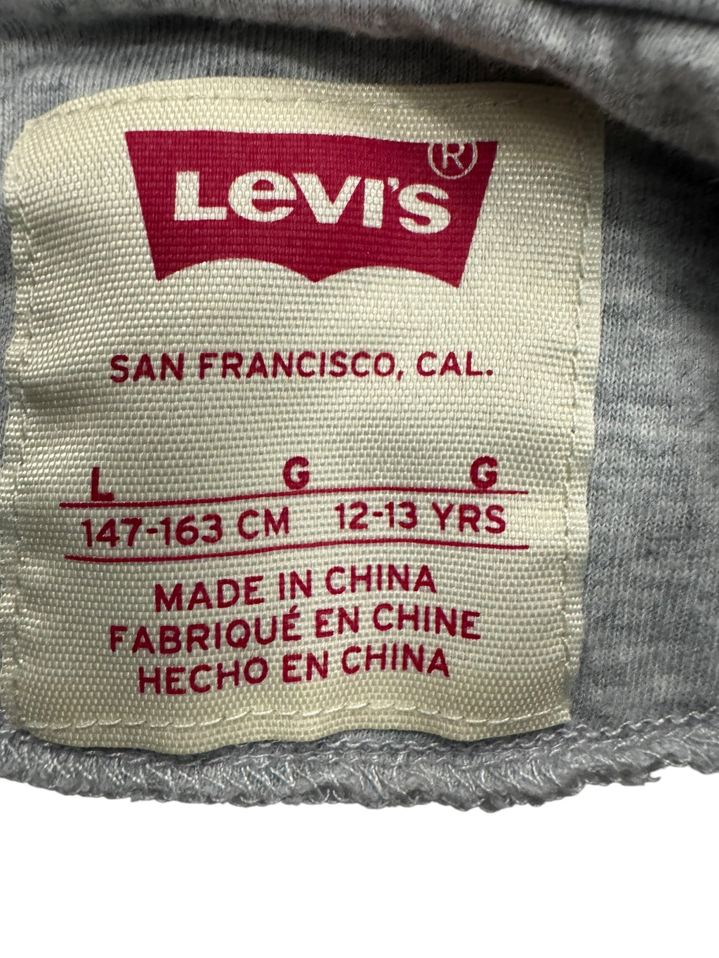 Levi Grey Hoodie