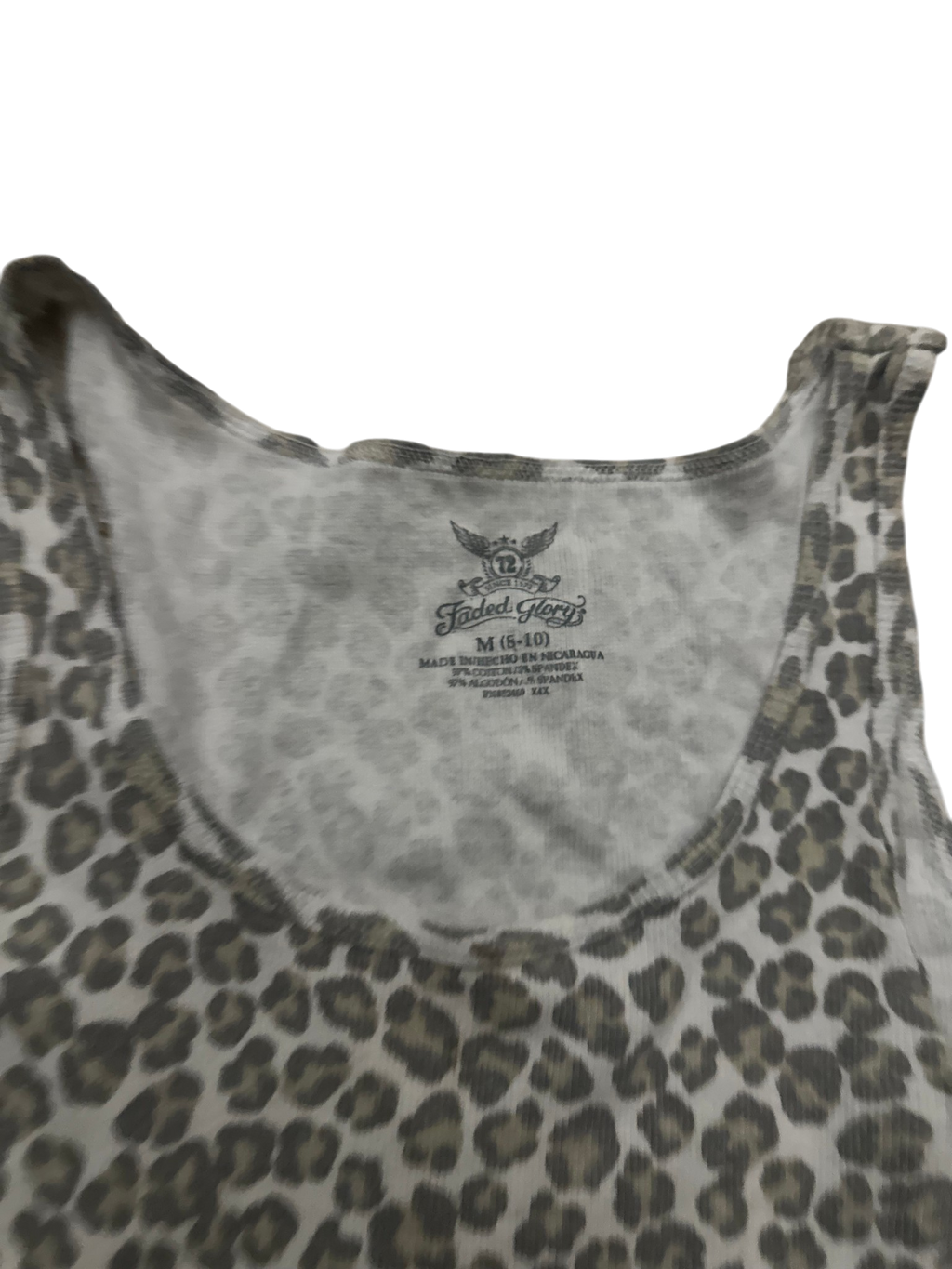 Cheetah Tank
