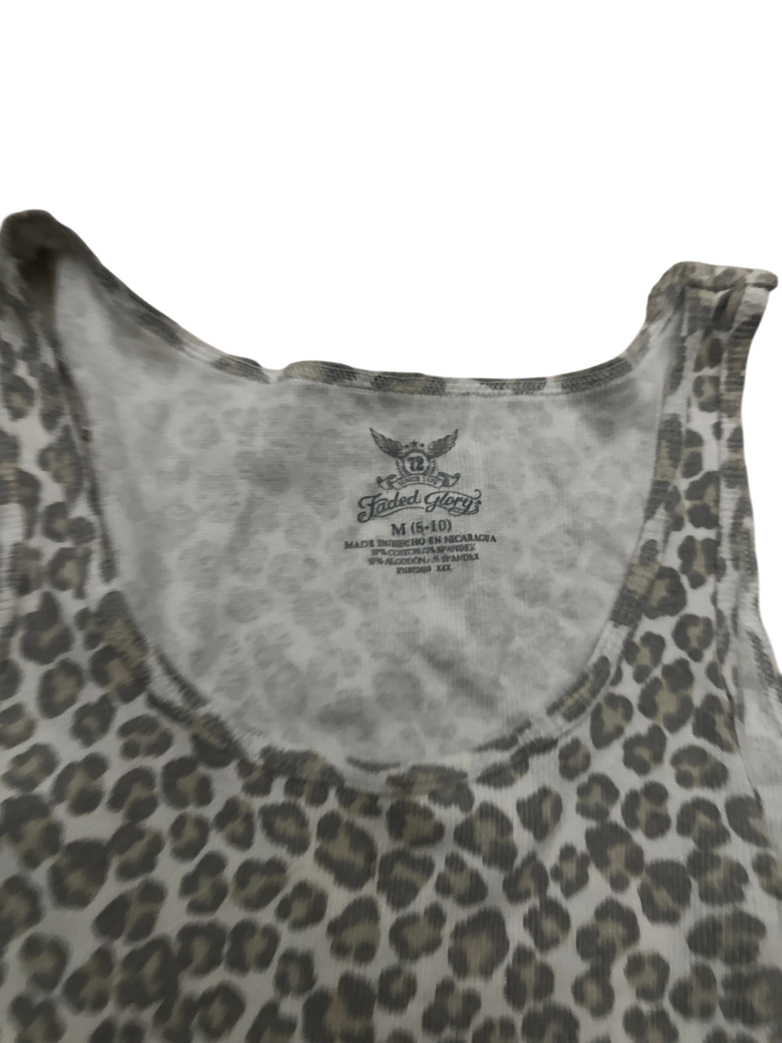 Cheetah Tank